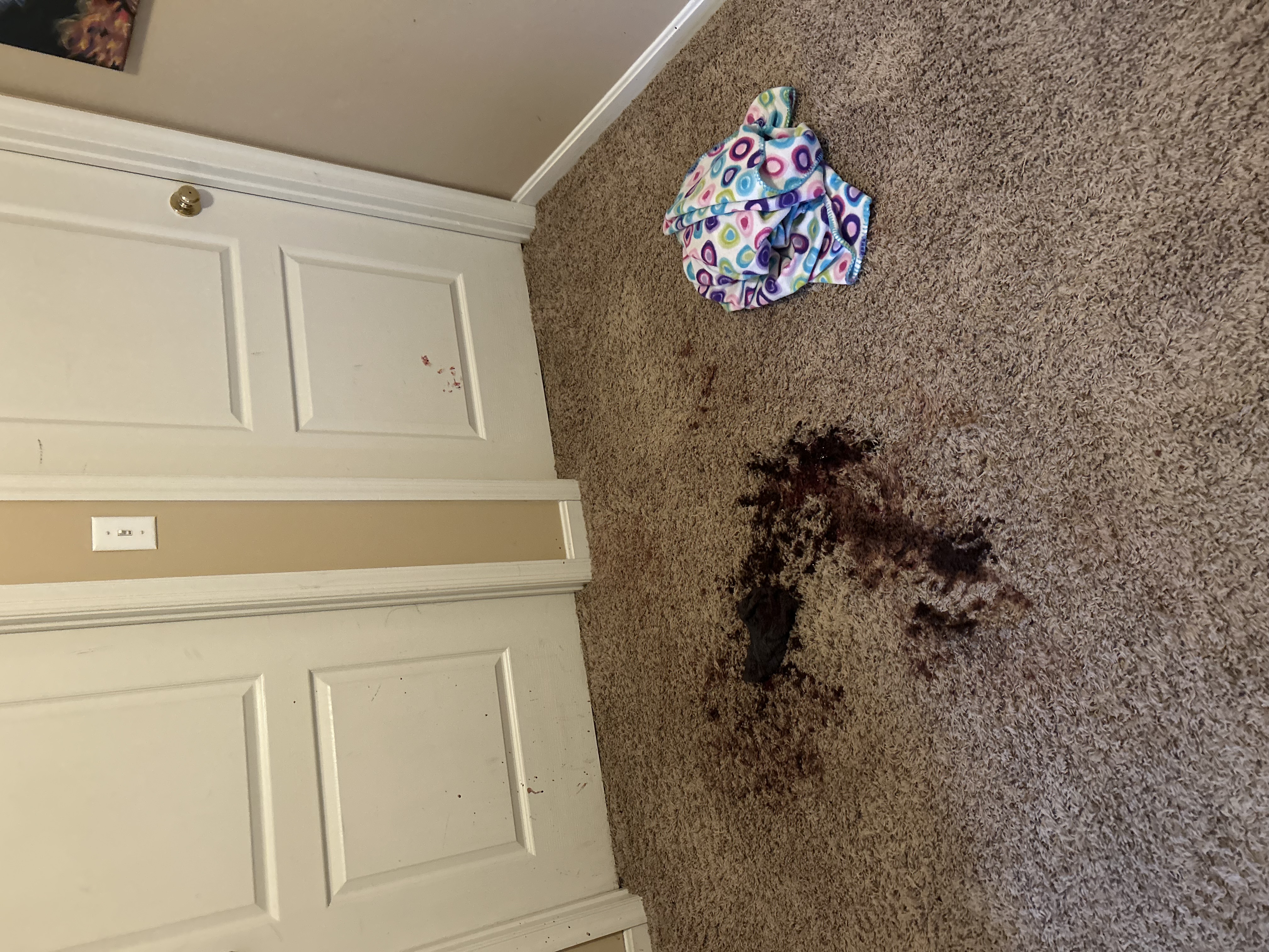 Carpet stain treatment