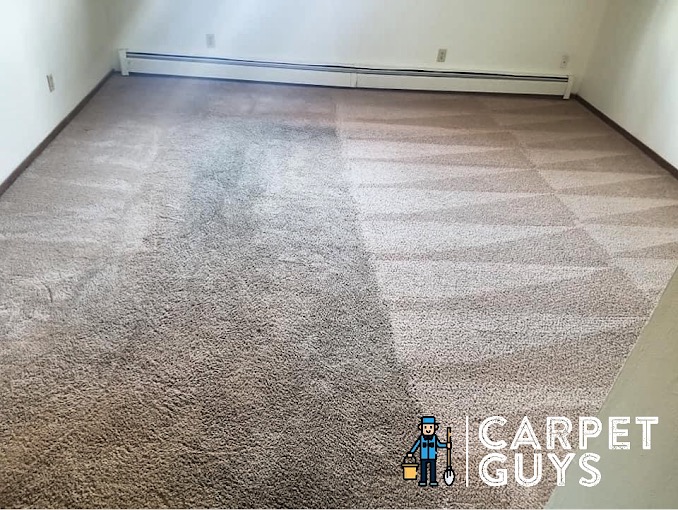 High-use carpet area before and after professional cleaning — Carpet Guys